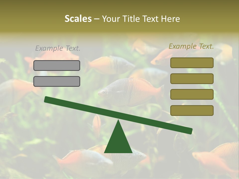 Fish In Aquarium PowerPoint Template