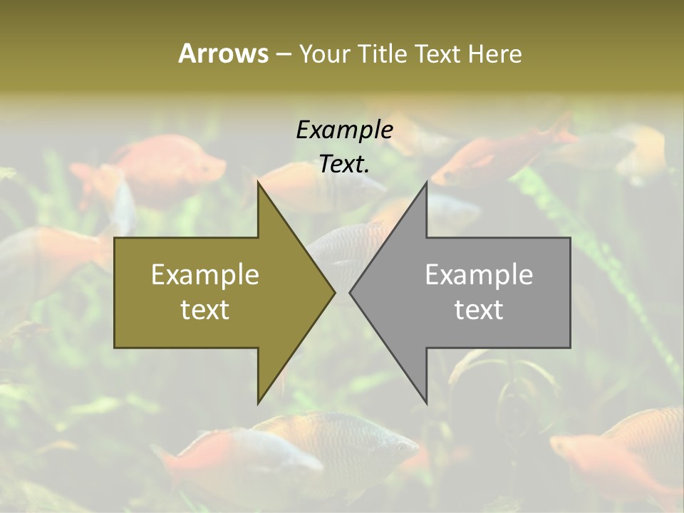 Fish In Aquarium PowerPoint Template