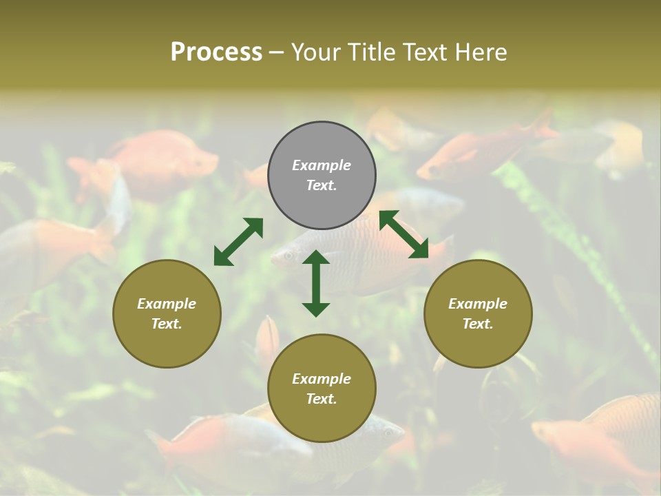 Fish In Aquarium PowerPoint Template