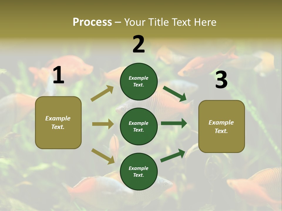 Fish In Aquarium PowerPoint Template