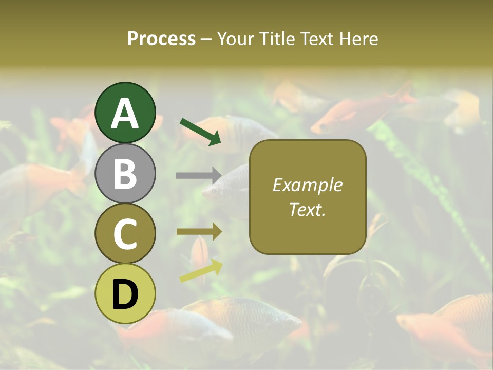 Fish In Aquarium PowerPoint Template