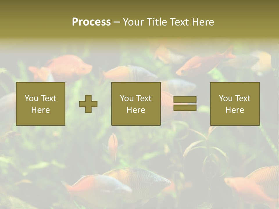 Fish In Aquarium PowerPoint Template