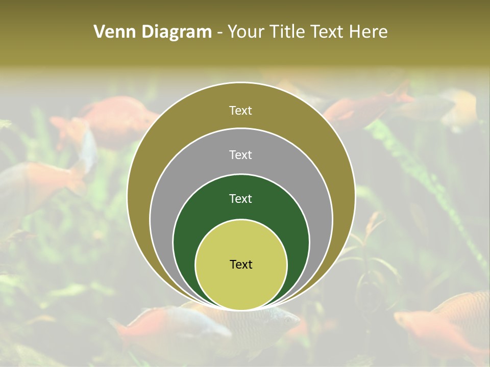 Fish In Aquarium PowerPoint Template