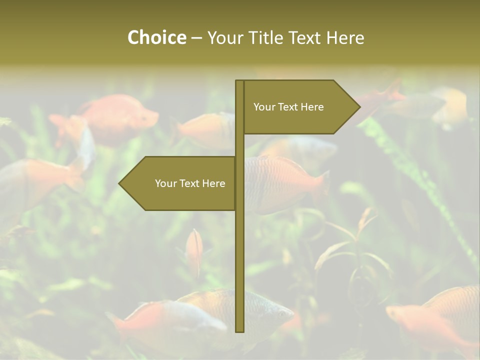 Fish In Aquarium PowerPoint Template