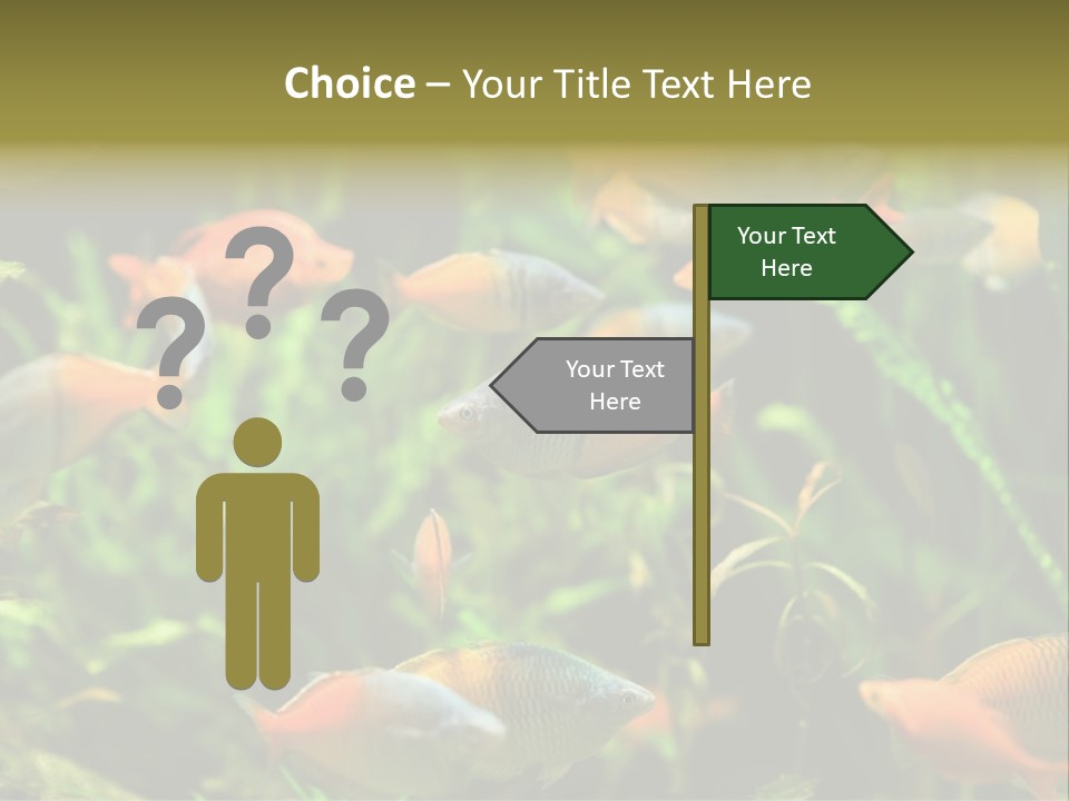 Fish In Aquarium PowerPoint Template