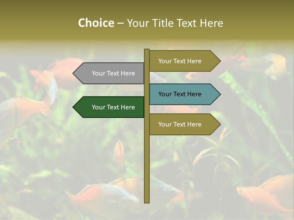 Fish In Aquarium PowerPoint Template