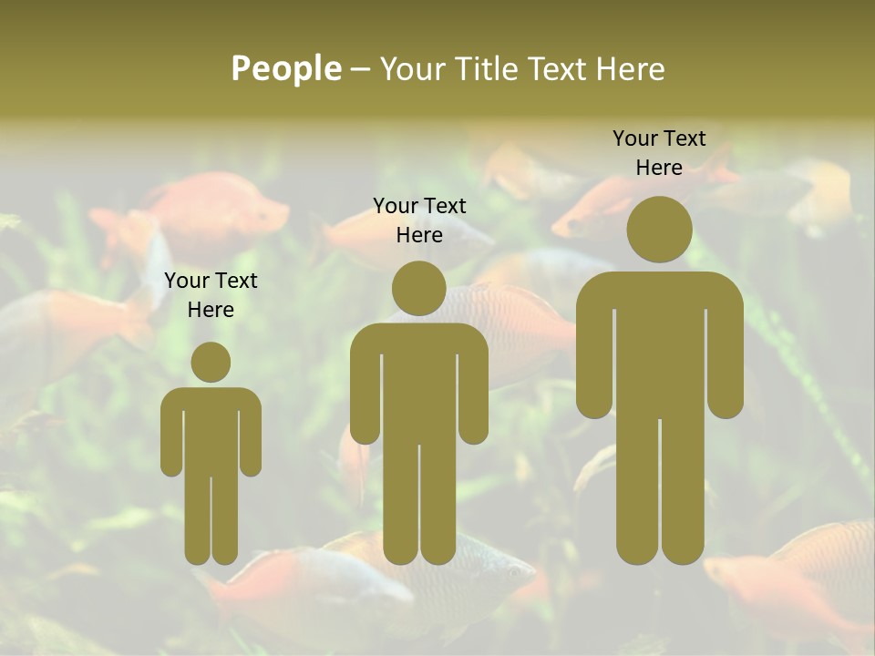 Fish In Aquarium PowerPoint Template