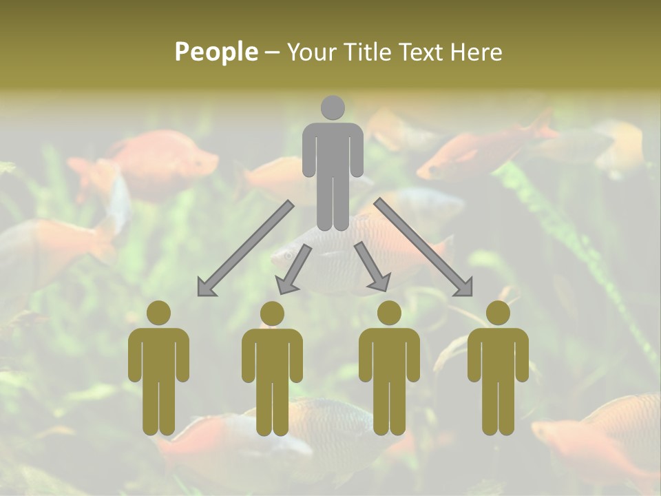 Fish In Aquarium PowerPoint Template