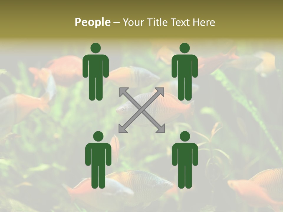 Fish In Aquarium PowerPoint Template