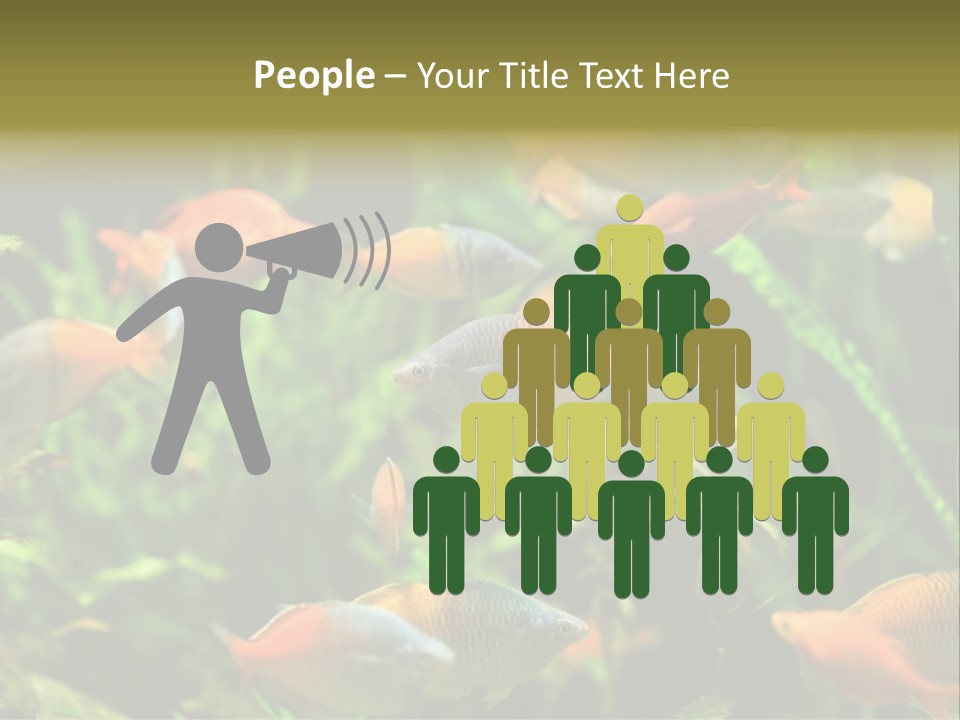 Fish In Aquarium PowerPoint Template