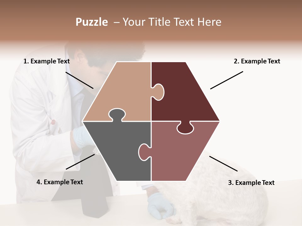 A Veterinarian Using An Instrument To Look Into A Maltese Terrier Dog's Eyes. PowerPoint Template