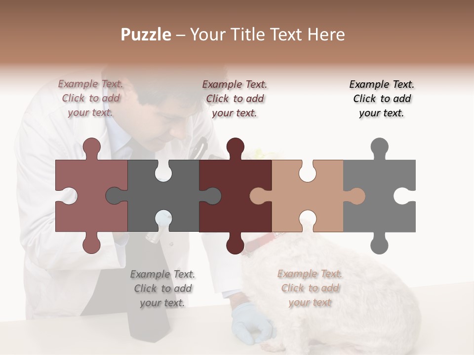 A Veterinarian Using An Instrument To Look Into A Maltese Terrier Dog's Eyes. PowerPoint Template