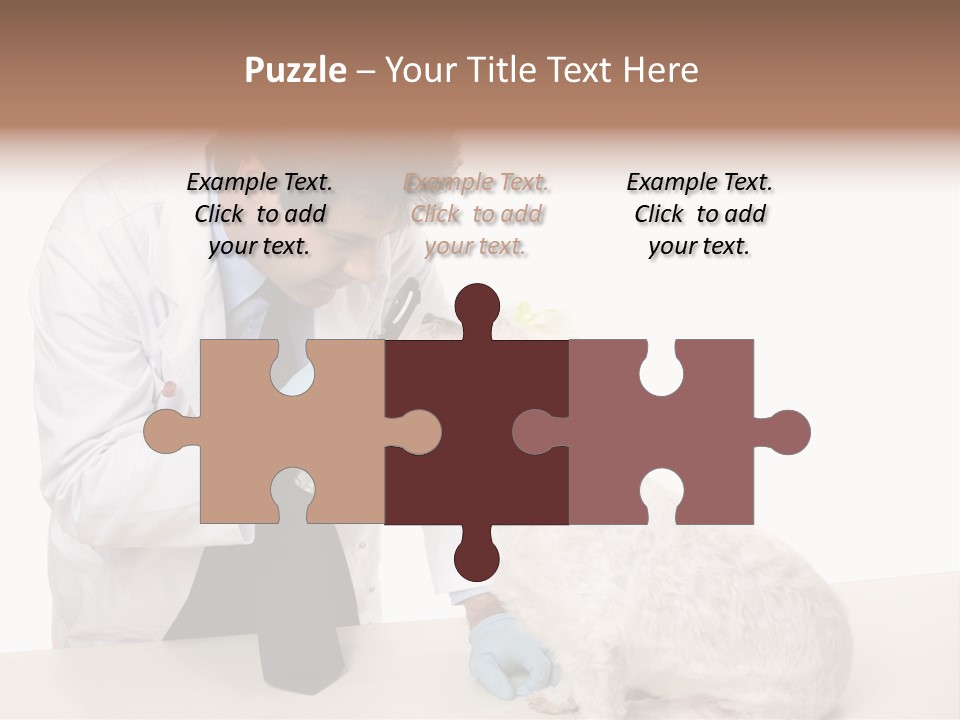 A Veterinarian Using An Instrument To Look Into A Maltese Terrier Dog's Eyes. PowerPoint Template