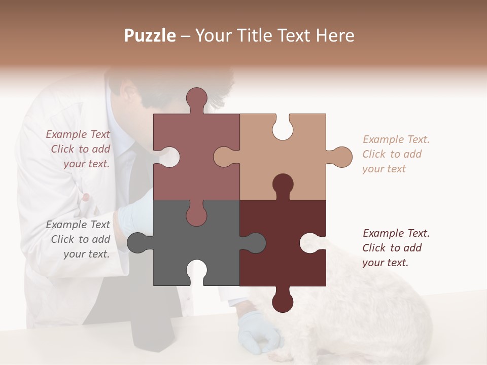 A Veterinarian Using An Instrument To Look Into A Maltese Terrier Dog's Eyes. PowerPoint Template