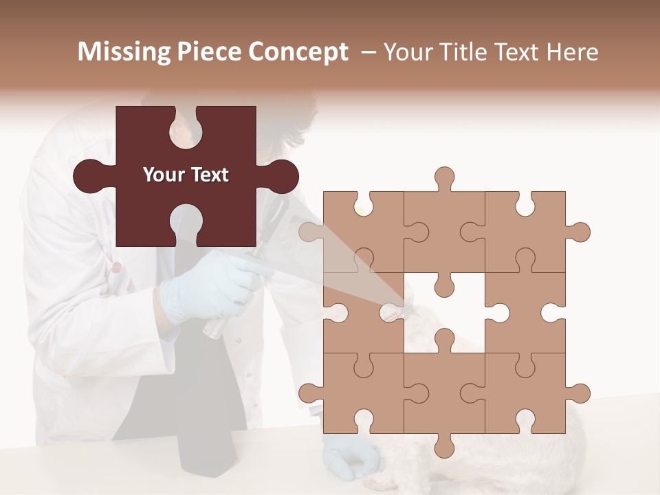 A Veterinarian Using An Instrument To Look Into A Maltese Terrier Dog's Eyes. PowerPoint Template