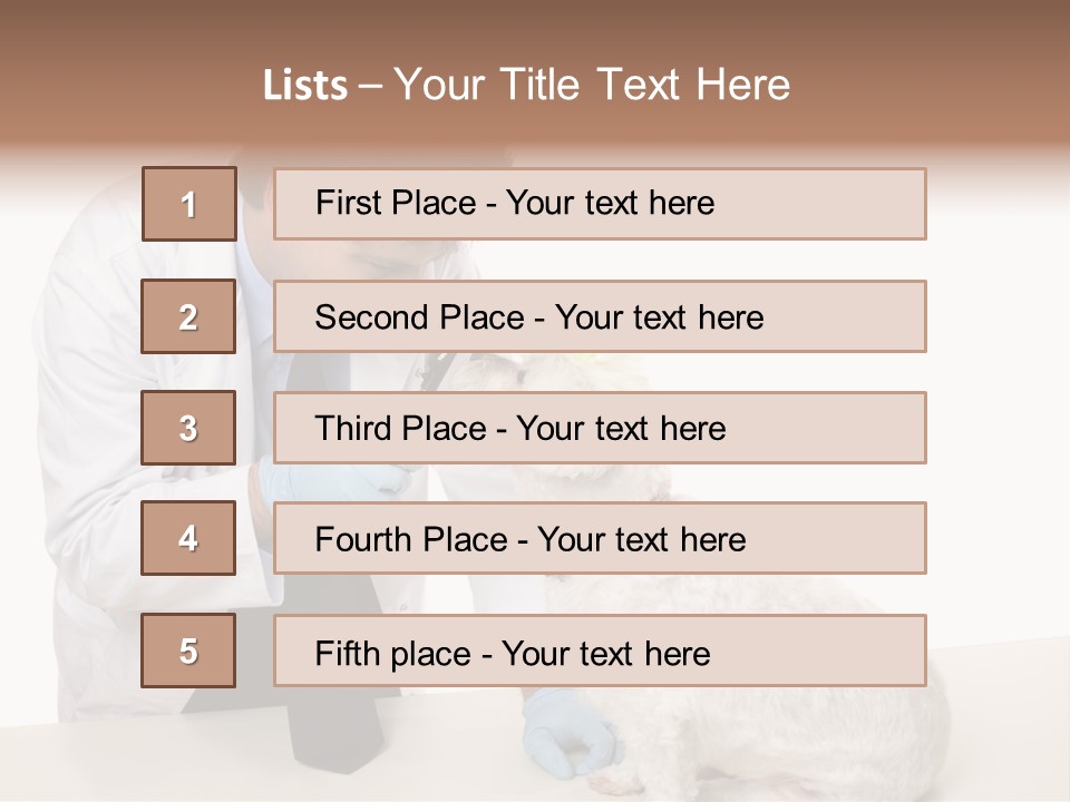 A Veterinarian Using An Instrument To Look Into A Maltese Terrier Dog's Eyes. PowerPoint Template