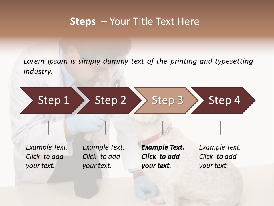 A Veterinarian Using An Instrument To Look Into A Maltese Terrier Dog's Eyes. PowerPoint Template