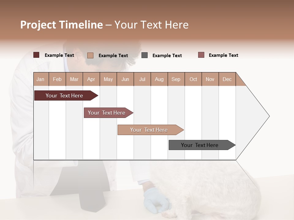 A Veterinarian Using An Instrument To Look Into A Maltese Terrier Dog's Eyes. PowerPoint Template