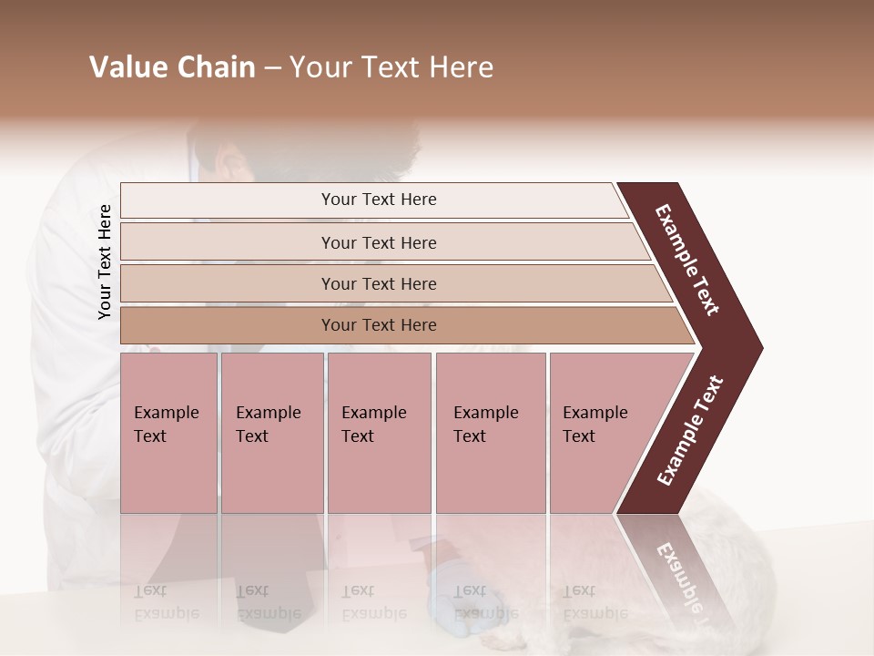 A Veterinarian Using An Instrument To Look Into A Maltese Terrier Dog's Eyes. PowerPoint Template