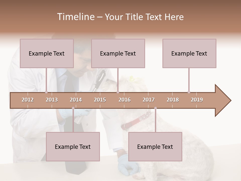 A Veterinarian Using An Instrument To Look Into A Maltese Terrier Dog's Eyes. PowerPoint Template