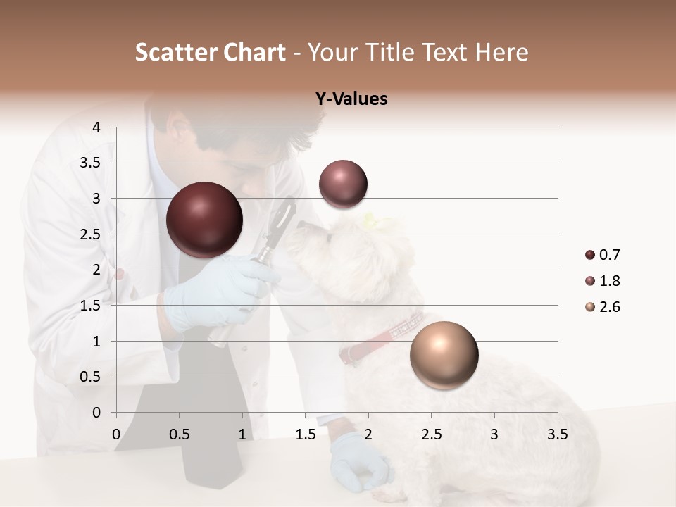A Veterinarian Using An Instrument To Look Into A Maltese Terrier Dog's Eyes. PowerPoint Template