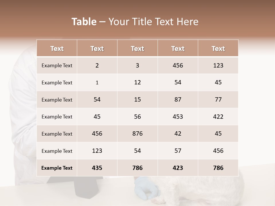 A Veterinarian Using An Instrument To Look Into A Maltese Terrier Dog's Eyes. PowerPoint Template