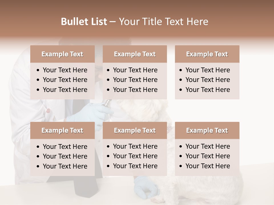 A Veterinarian Using An Instrument To Look Into A Maltese Terrier Dog's Eyes. PowerPoint Template