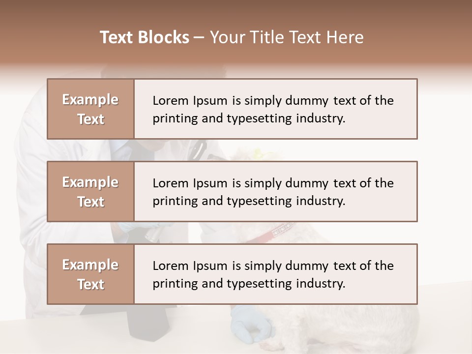 A Veterinarian Using An Instrument To Look Into A Maltese Terrier Dog's Eyes. PowerPoint Template