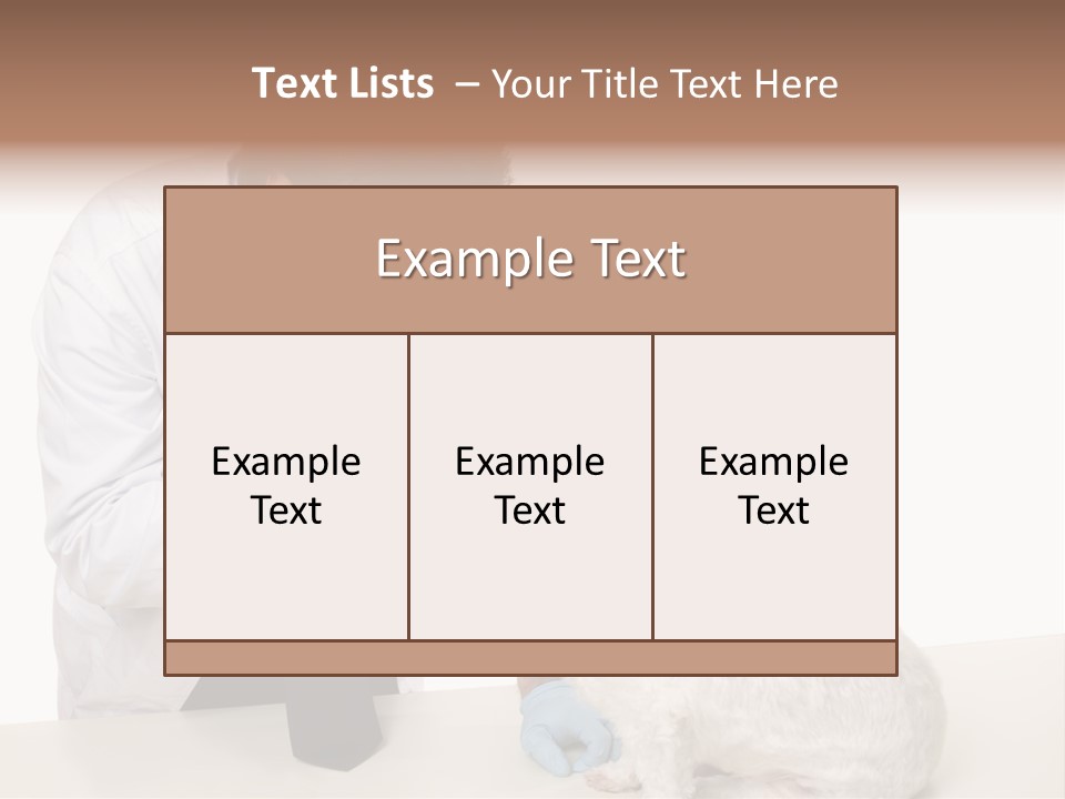 A Veterinarian Using An Instrument To Look Into A Maltese Terrier Dog's Eyes. PowerPoint Template