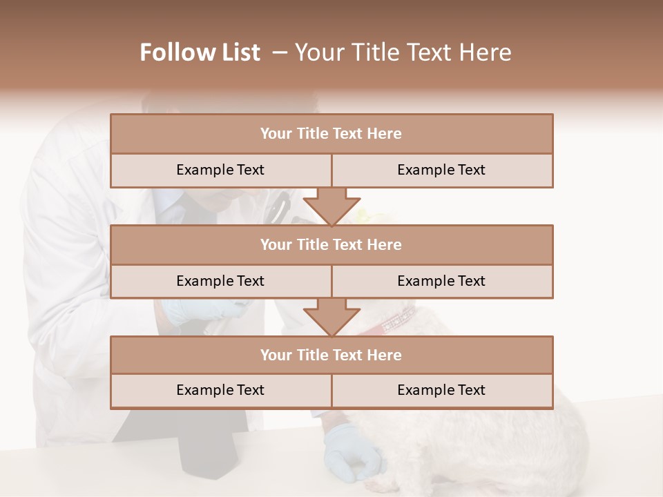 A Veterinarian Using An Instrument To Look Into A Maltese Terrier Dog's Eyes. PowerPoint Template