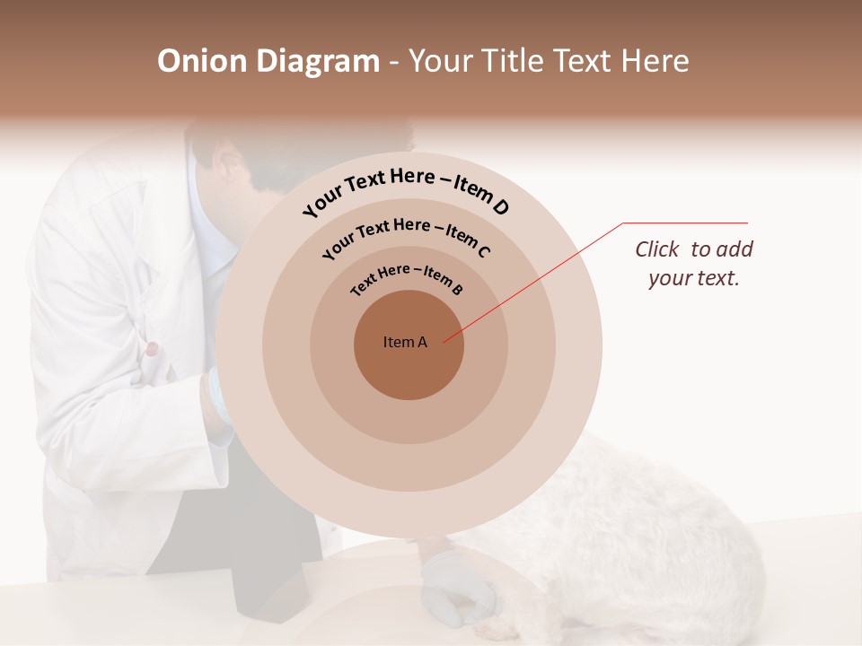 A Veterinarian Using An Instrument To Look Into A Maltese Terrier Dog's Eyes. PowerPoint Template