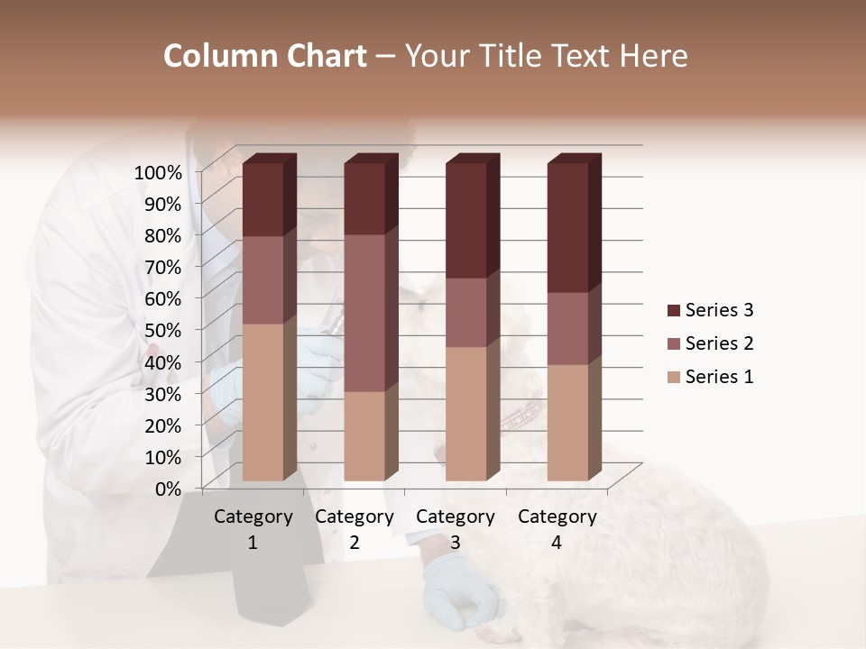 A Veterinarian Using An Instrument To Look Into A Maltese Terrier Dog's Eyes. PowerPoint Template