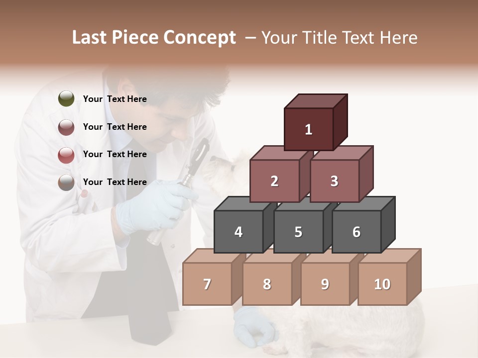 A Veterinarian Using An Instrument To Look Into A Maltese Terrier Dog's Eyes. PowerPoint Template