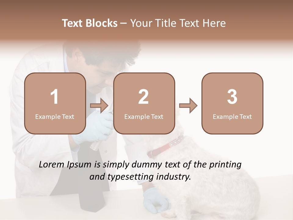 A Veterinarian Using An Instrument To Look Into A Maltese Terrier Dog's Eyes. PowerPoint Template