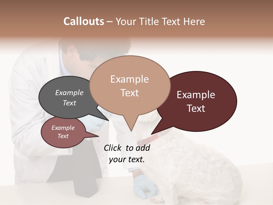 A Veterinarian Using An Instrument To Look Into A Maltese Terrier Dog's Eyes. PowerPoint Template