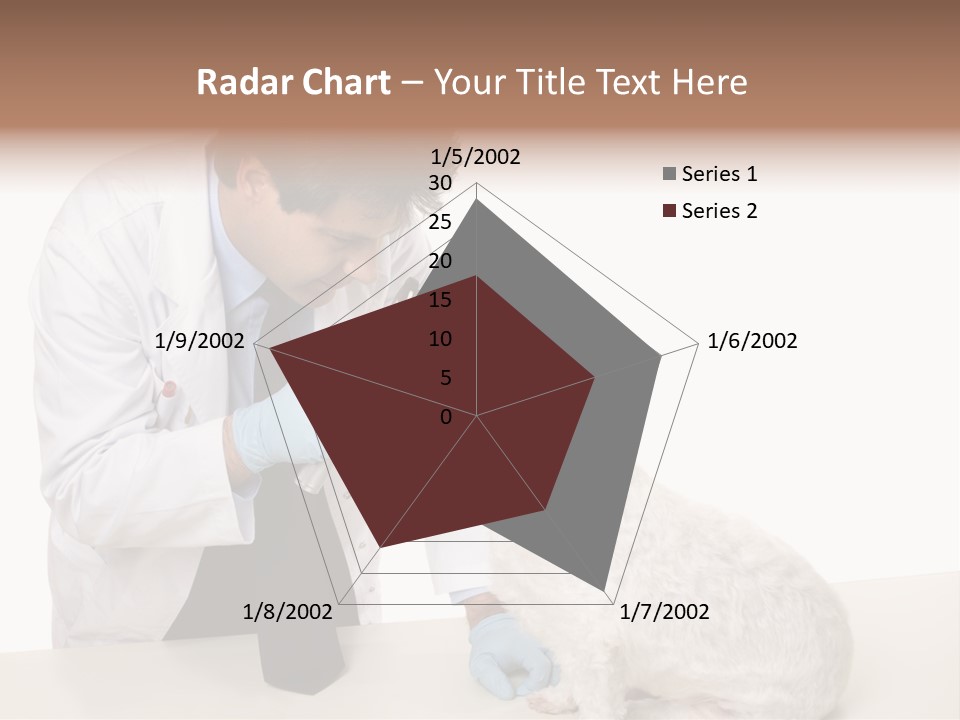 A Veterinarian Using An Instrument To Look Into A Maltese Terrier Dog's Eyes. PowerPoint Template