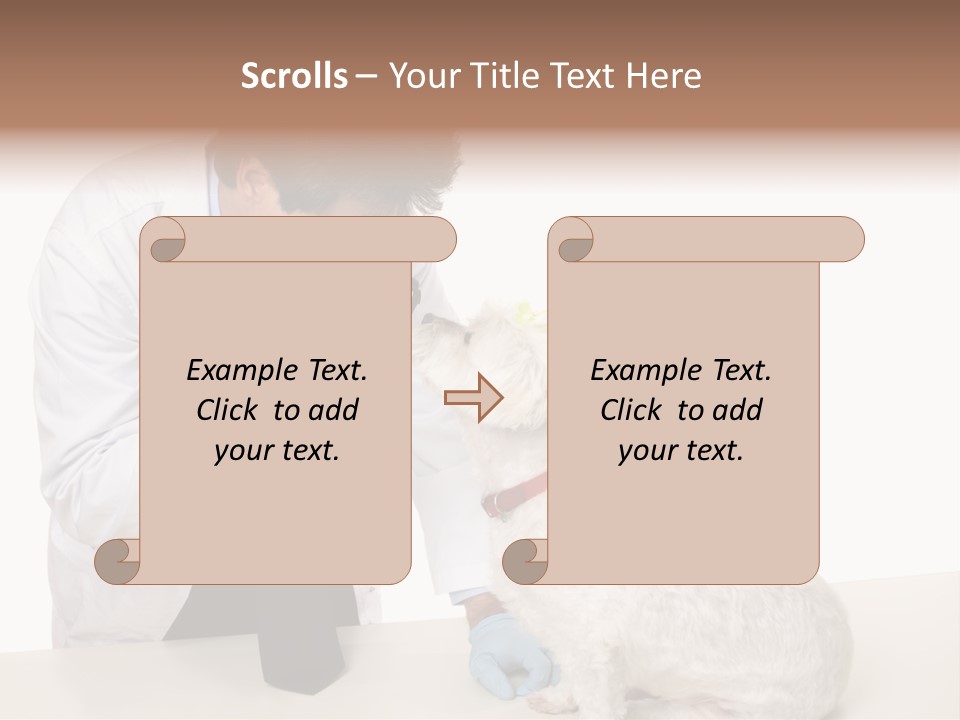 A Veterinarian Using An Instrument To Look Into A Maltese Terrier Dog's Eyes. PowerPoint Template