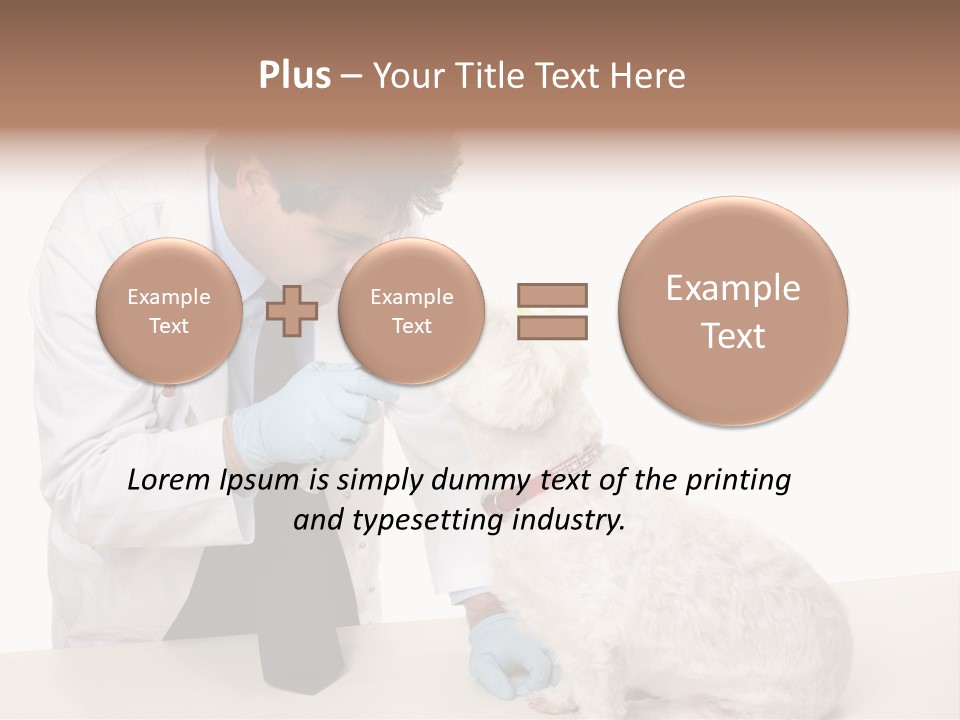 A Veterinarian Using An Instrument To Look Into A Maltese Terrier Dog's Eyes. PowerPoint Template