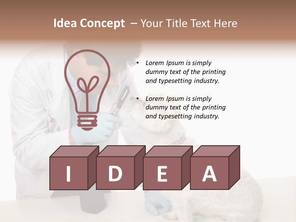 A Veterinarian Using An Instrument To Look Into A Maltese Terrier Dog's Eyes. PowerPoint Template