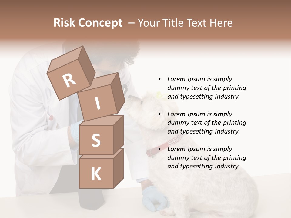 A Veterinarian Using An Instrument To Look Into A Maltese Terrier Dog's Eyes. PowerPoint Template