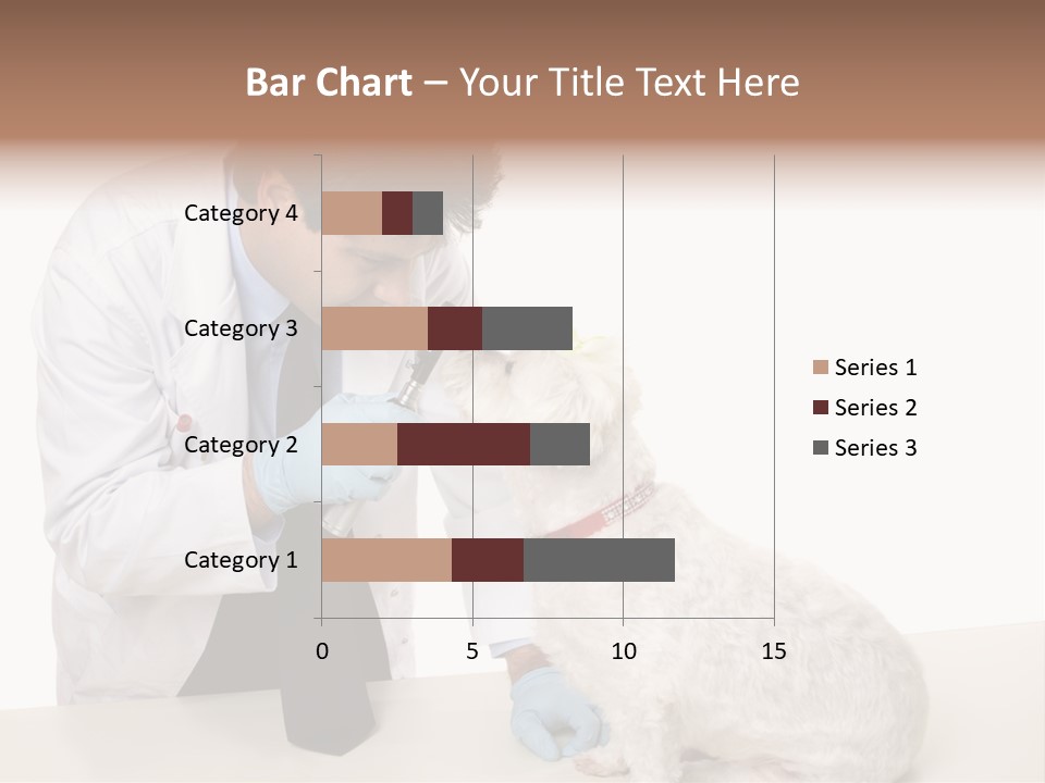 A Veterinarian Using An Instrument To Look Into A Maltese Terrier Dog's Eyes. PowerPoint Template