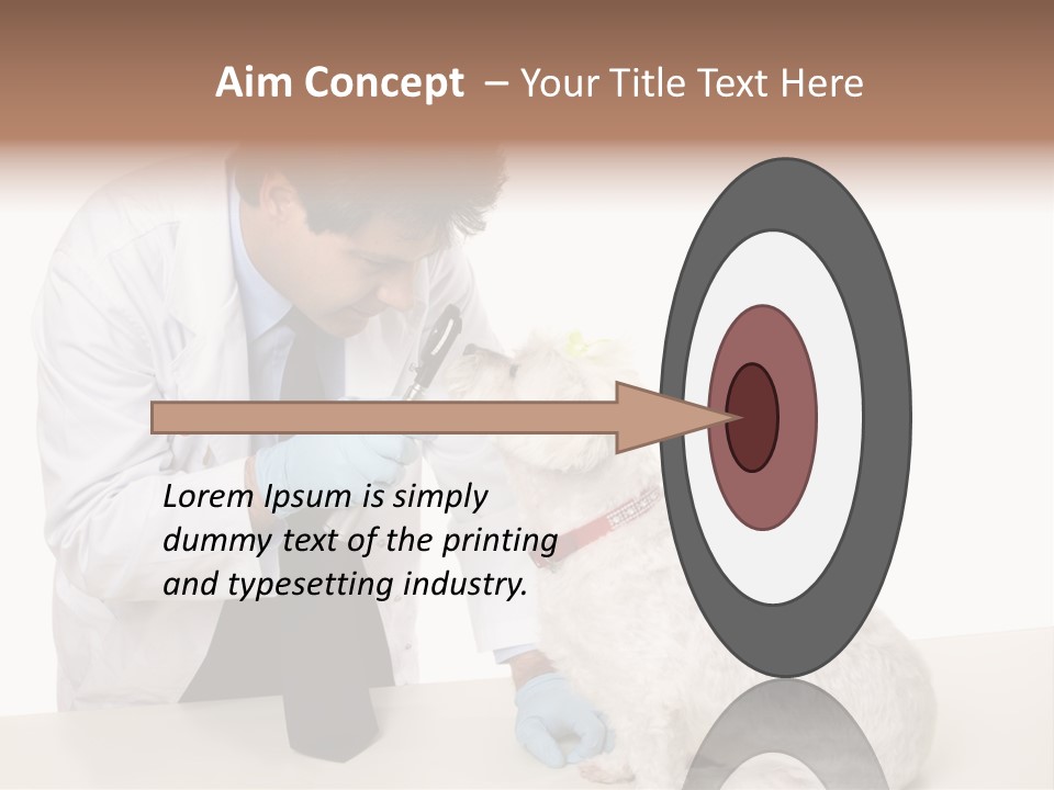 A Veterinarian Using An Instrument To Look Into A Maltese Terrier Dog's Eyes. PowerPoint Template