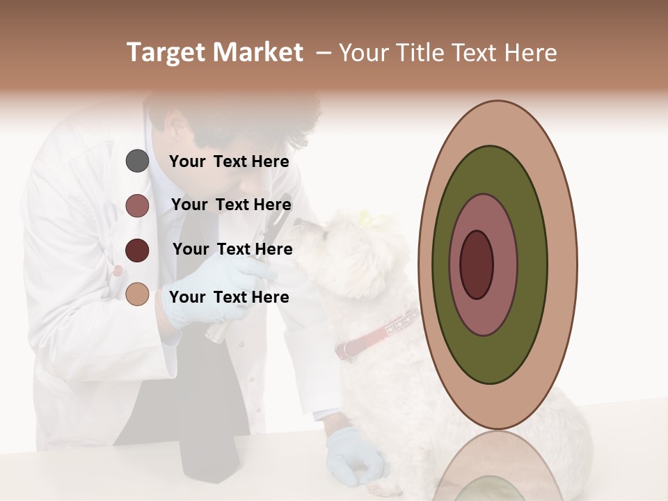 A Veterinarian Using An Instrument To Look Into A Maltese Terrier Dog's Eyes. PowerPoint Template
