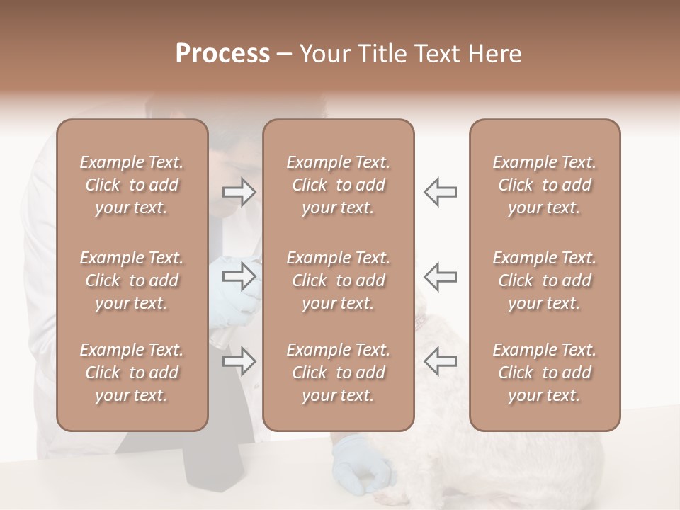 A Veterinarian Using An Instrument To Look Into A Maltese Terrier Dog's Eyes. PowerPoint Template