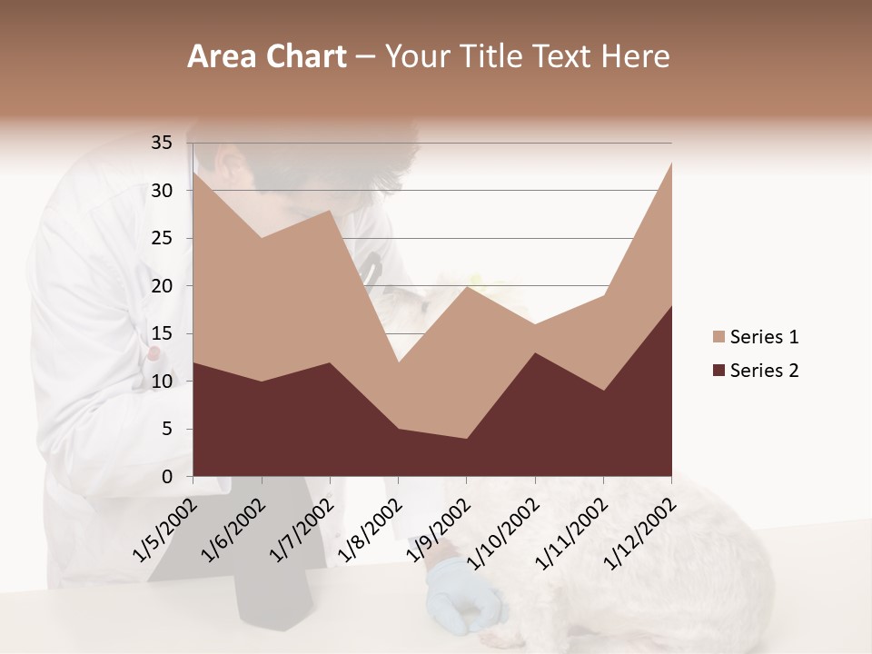 A Veterinarian Using An Instrument To Look Into A Maltese Terrier Dog's Eyes. PowerPoint Template