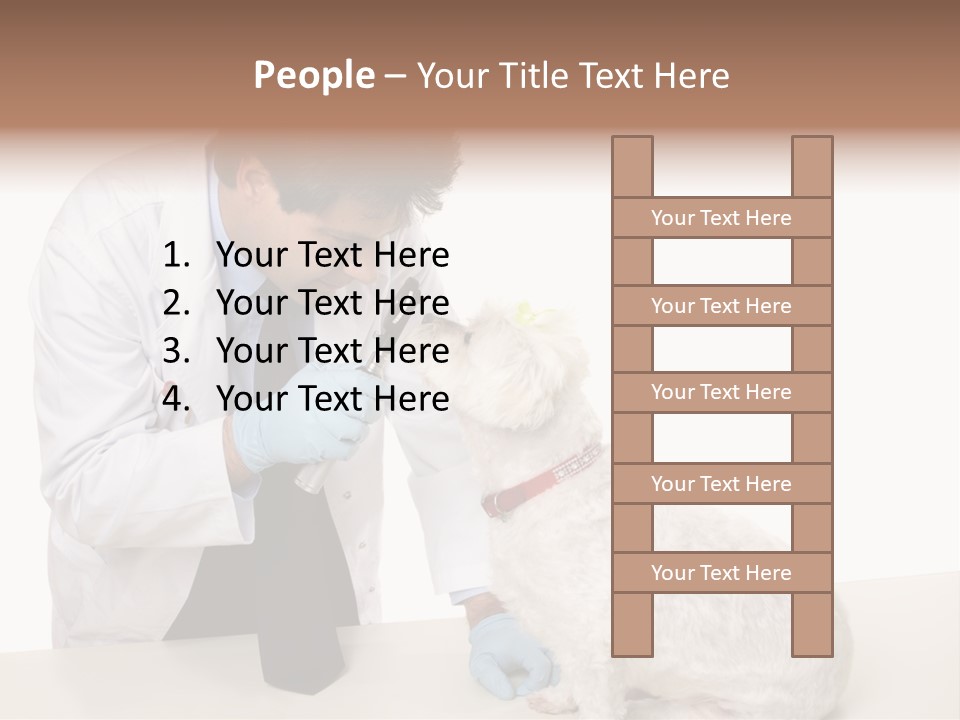 A Veterinarian Using An Instrument To Look Into A Maltese Terrier Dog's Eyes. PowerPoint Template