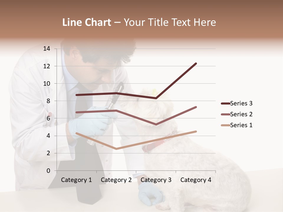 A Veterinarian Using An Instrument To Look Into A Maltese Terrier Dog's Eyes. PowerPoint Template
