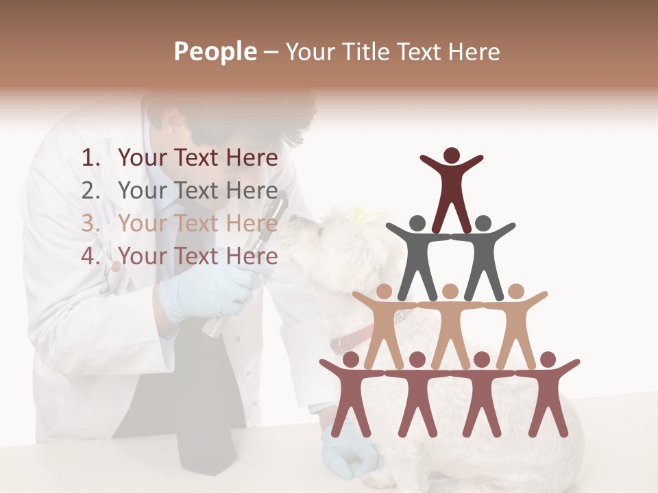 A Veterinarian Using An Instrument To Look Into A Maltese Terrier Dog's Eyes. PowerPoint Template