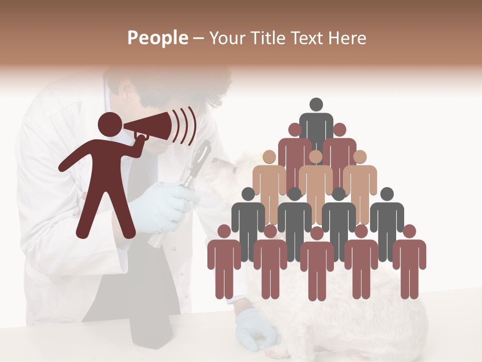 A Veterinarian Using An Instrument To Look Into A Maltese Terrier Dog's Eyes. PowerPoint Template