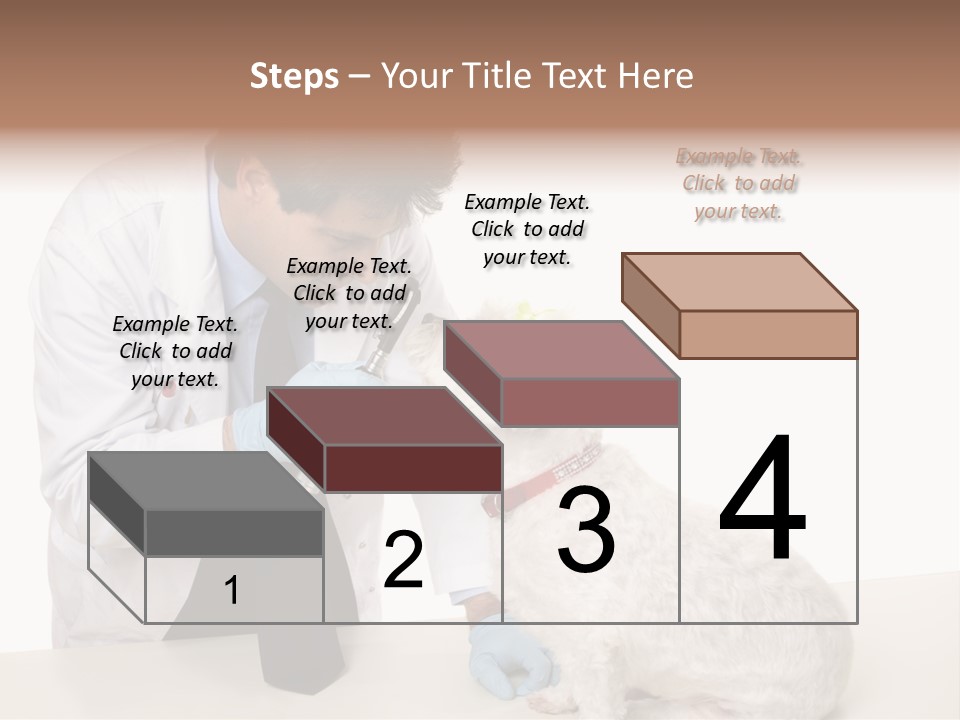 A Veterinarian Using An Instrument To Look Into A Maltese Terrier Dog's Eyes. PowerPoint Template